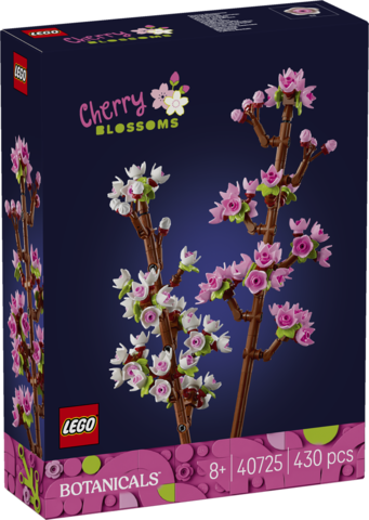 Cherry Blossoms
