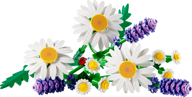 Daisies