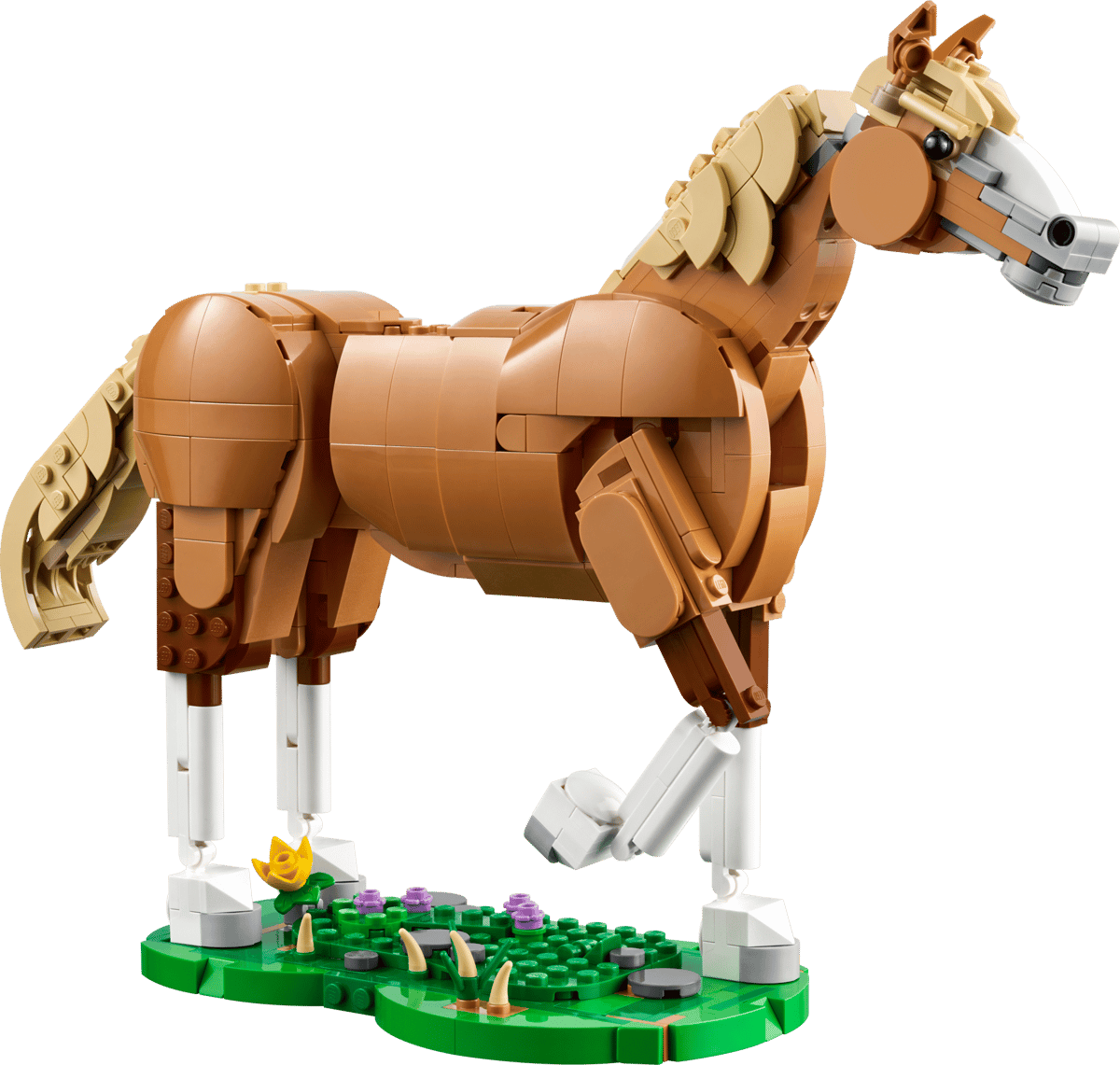 Beautiful Horse