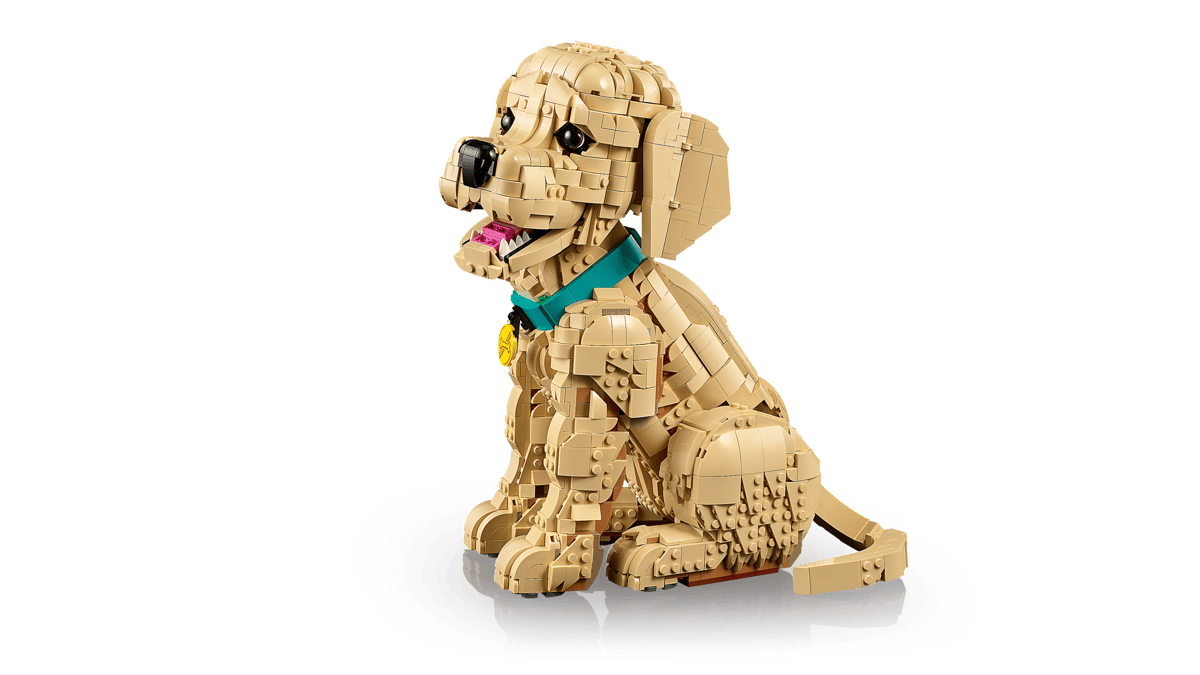 Golden Retriever Puppy