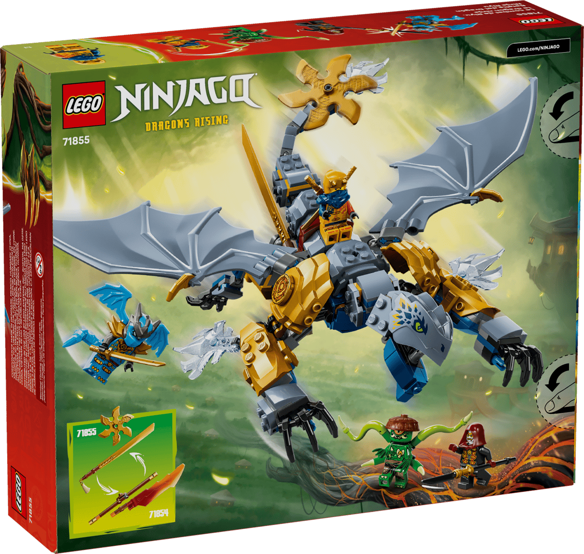 Ninja Dragon Riyu's Battle