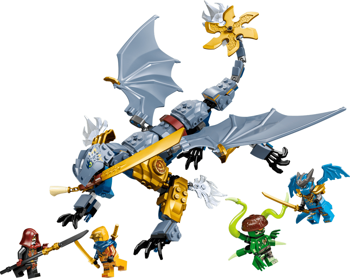 Ninja Dragon Riyu's Battle