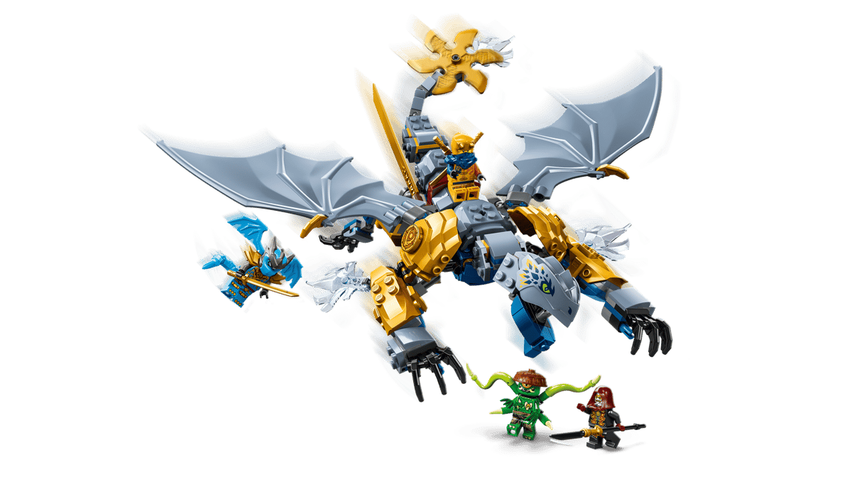 Ninja Dragon Riyu's Battle