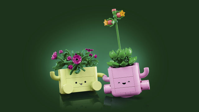 Rocking Plants 11506