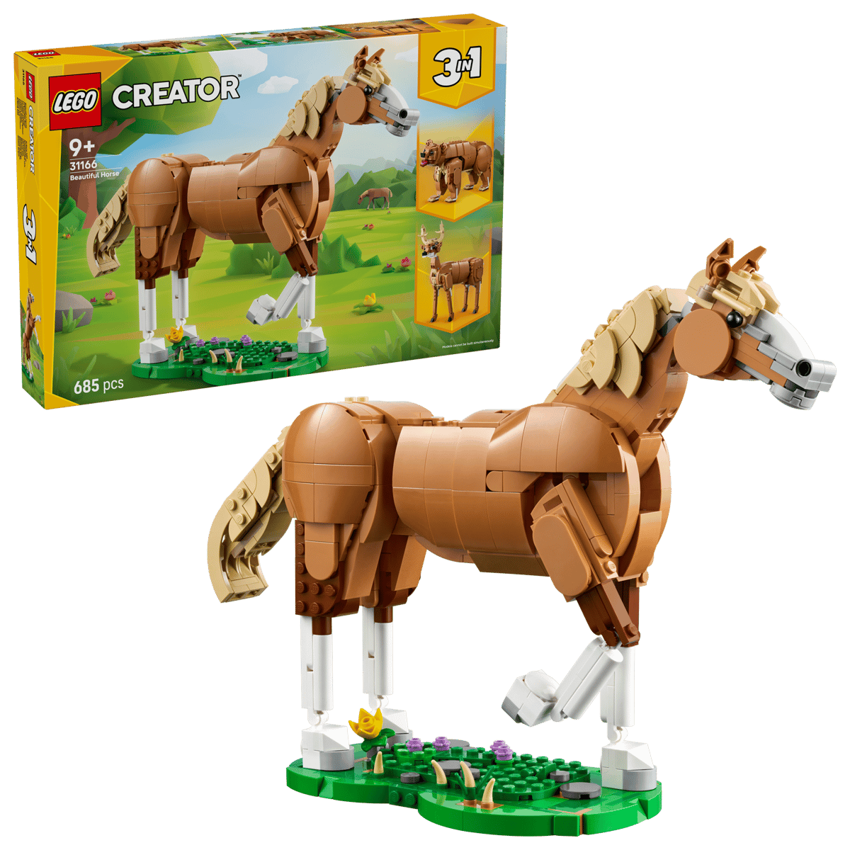 Beautiful Horse