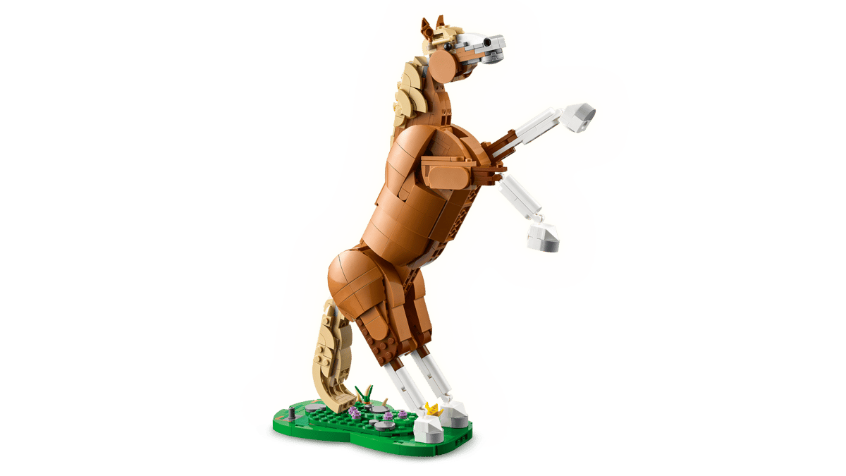 Beautiful Horse