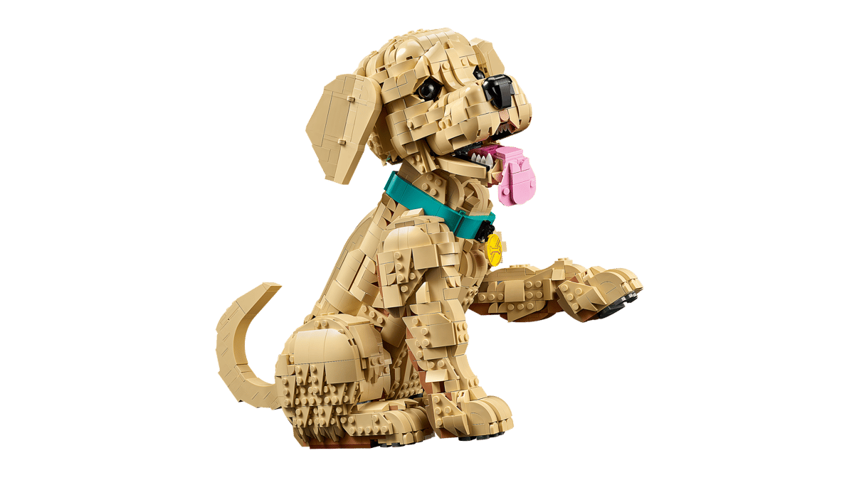 Golden Retriever Puppy