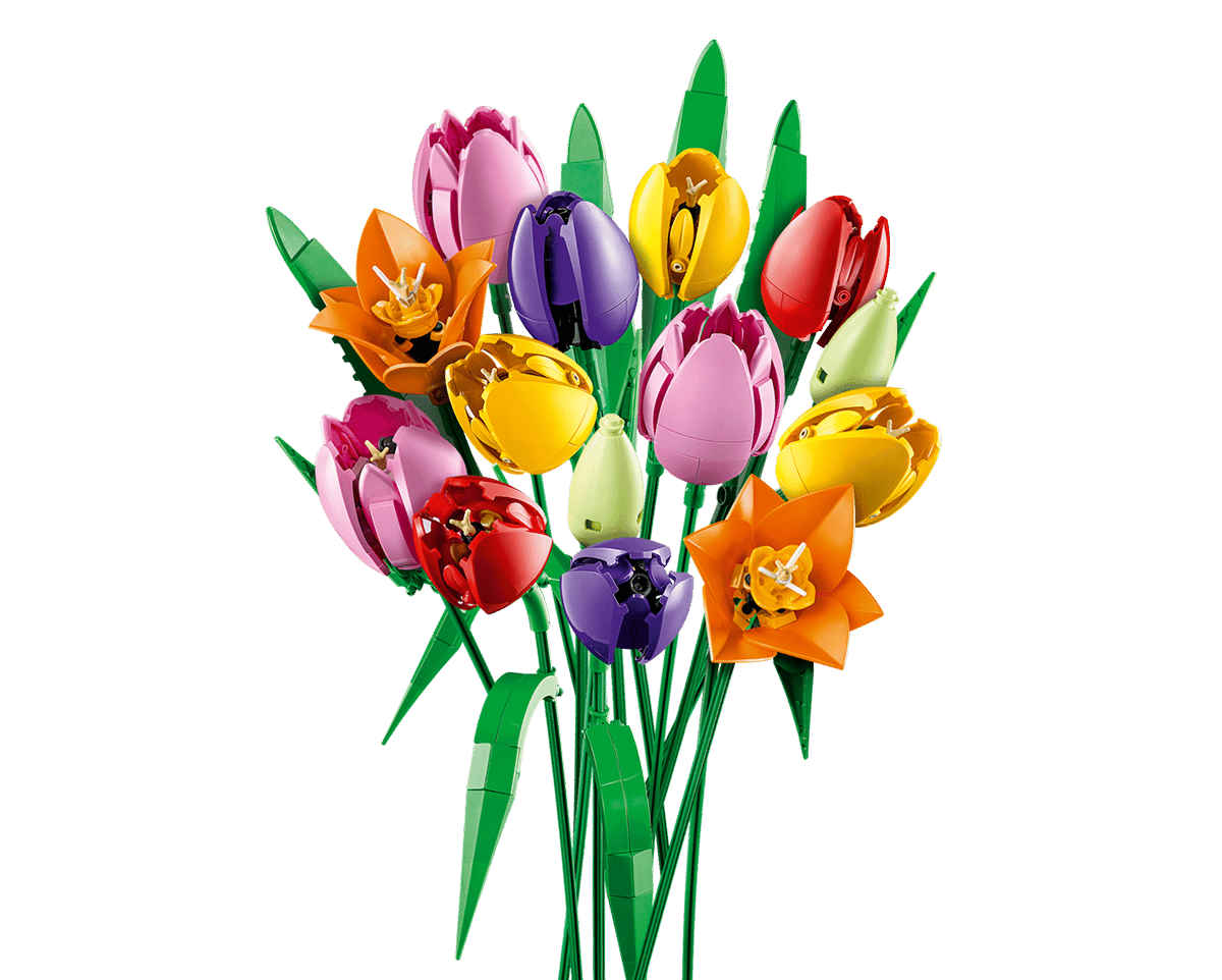 LEGO Botanicals Tulip Bouquet 11501