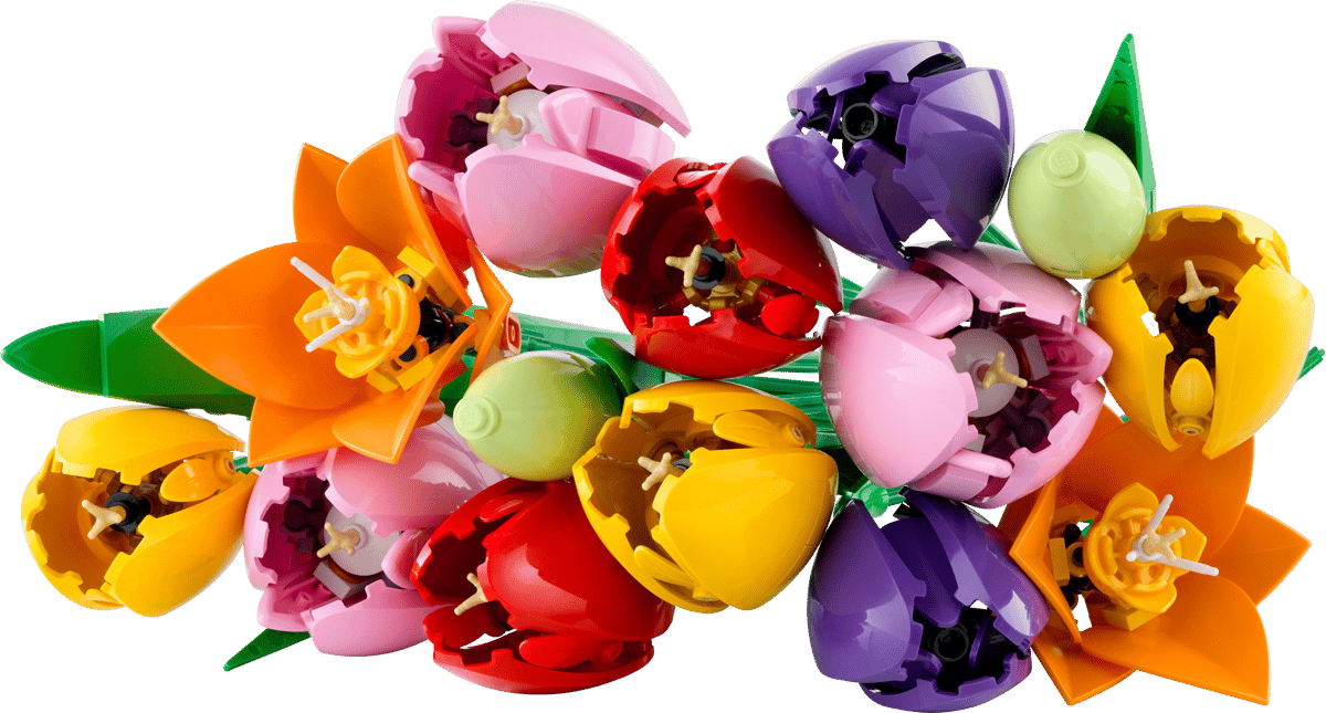 LEGO Botanicals Tulip Bouquet 11501