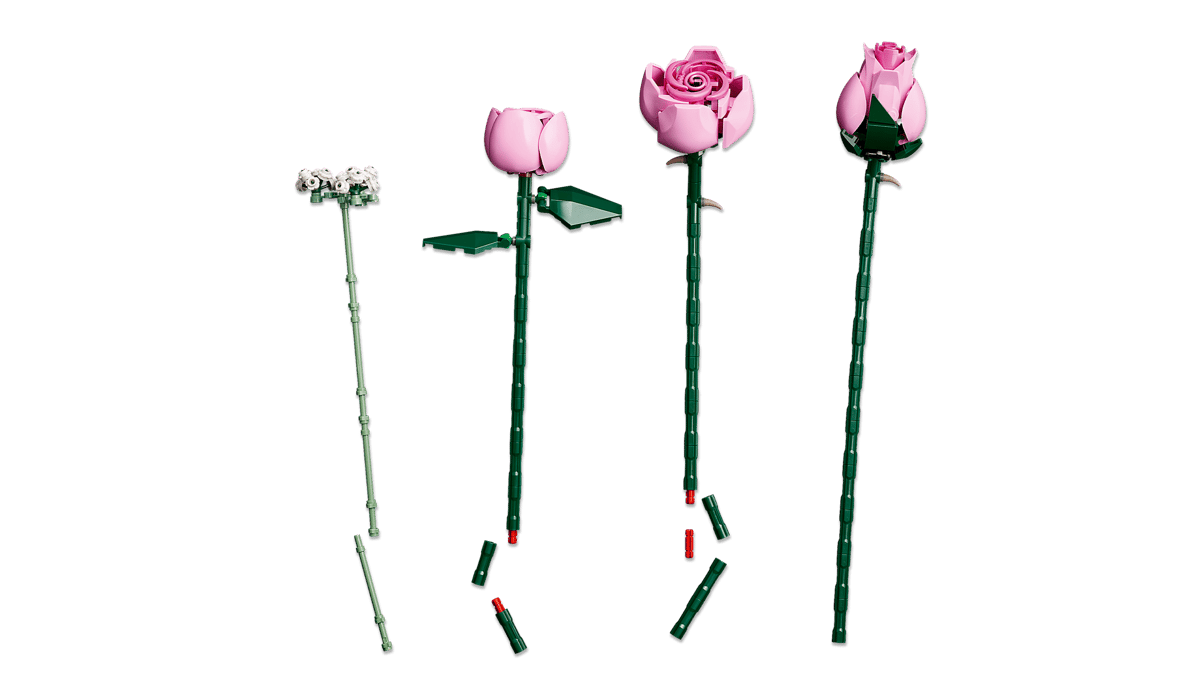 Bouquet of Pink Roses